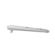 HP 970 Programmable Wireless Keyboard EURO - White