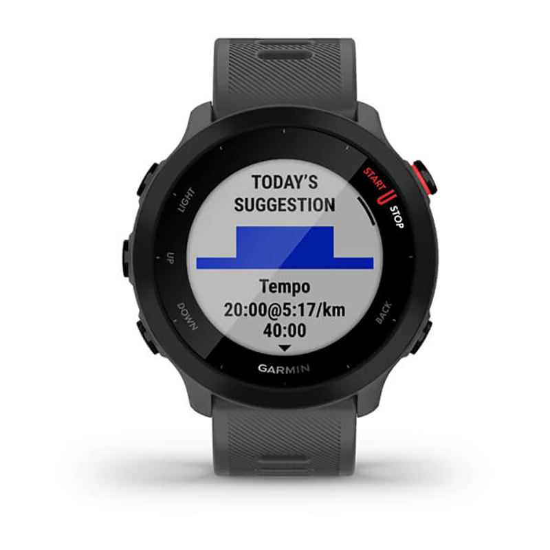 GARMIN Forerunner 55, GPS, EU Monterra Grey
