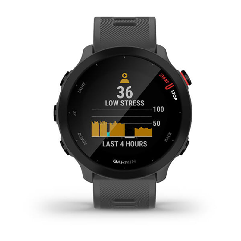 GARMIN Forerunner 55, GPS, EU Monterra Grey