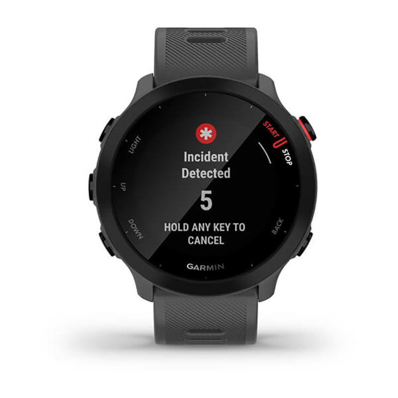 GARMIN Forerunner 55, GPS, EU Monterra Grey