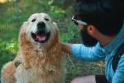 Essential Habits for a Happy, Healthy Pet in 2026